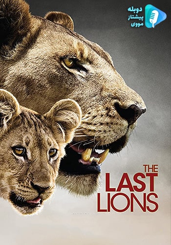  The Last Lions آخرین شیرها