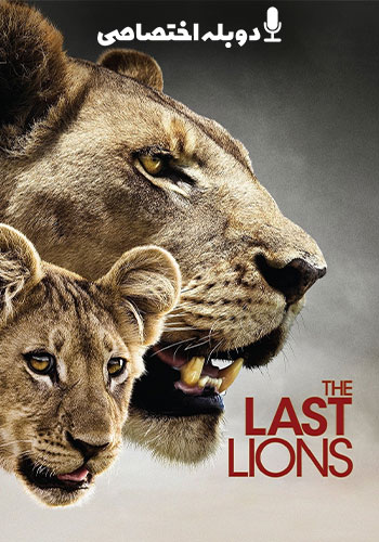  The Last Lions آخرین شیرها