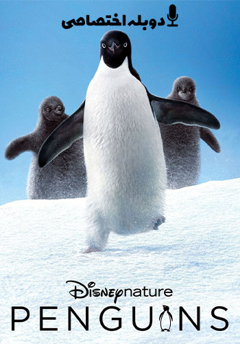  Penguins پنگوئن ها