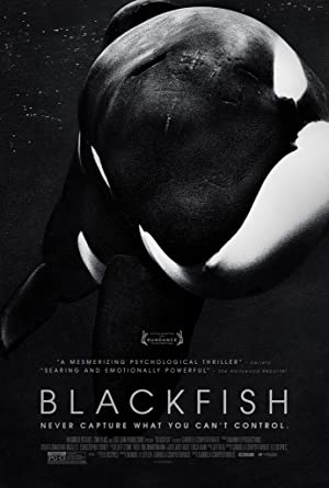  Blackfish ماهی سیاه 