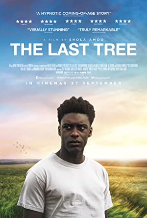 The Last Tree 2019