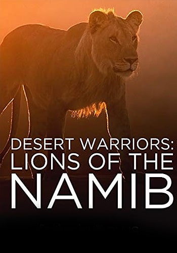  Desert Warriors: Lions of the Namib جنگجویان بیابان: شیرهای صحرای نامیب