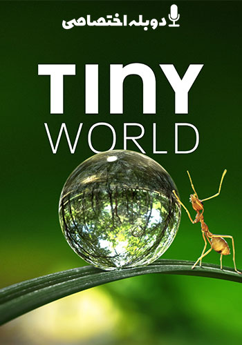 Tiny World 2020