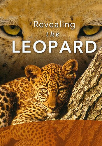  Revealing the Leopard فاش کردن دنیای پلنگ ها
