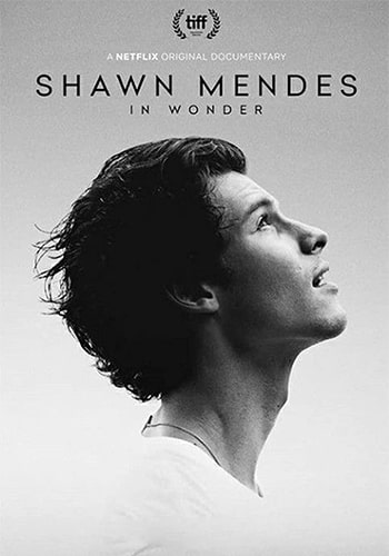 Shawn Mendes: In Wonder 2020
