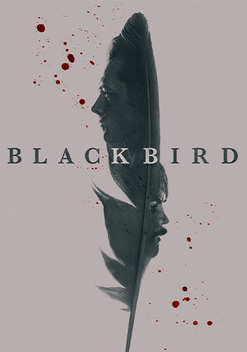  Black Bird پرنده سیاه 