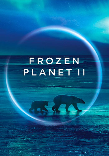 تماشای Frozen Planet II سیاره یخ زده 2