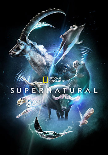  Super/Natural سوپرنچرال 