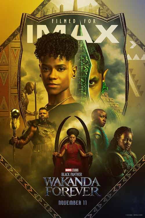  Black Panther: Wakanda Forever پلنگ سیاه: واکاندا تا ابد