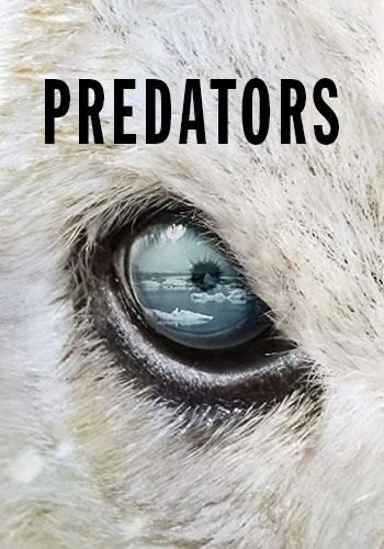  Predators شکارچیان