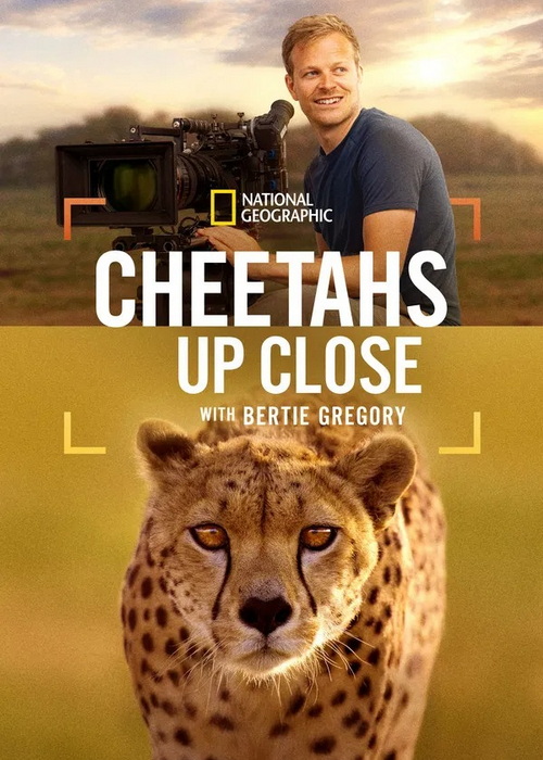  Cheetahs Up Close with Bertie Gregory چیتاها از نزدیک با برتی گرگوری