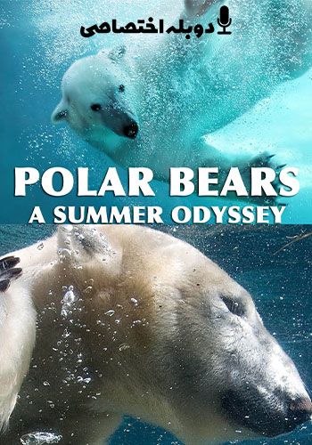 تماشای Polar Bears: A Summer Odyssey خرس های قطبی : ماجرای يک تابستان